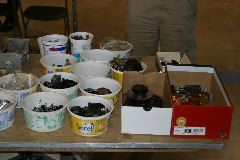 IMG_9542.JPG